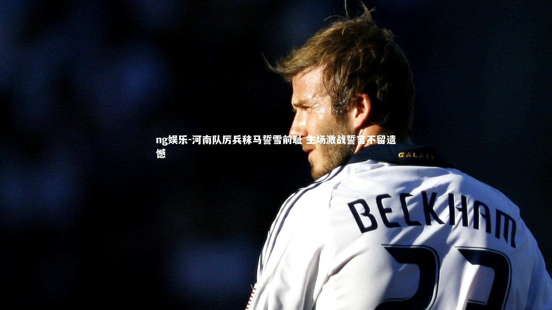 河南队厉兵秣马誓雪前耻 主场激战誓言不留遗憾