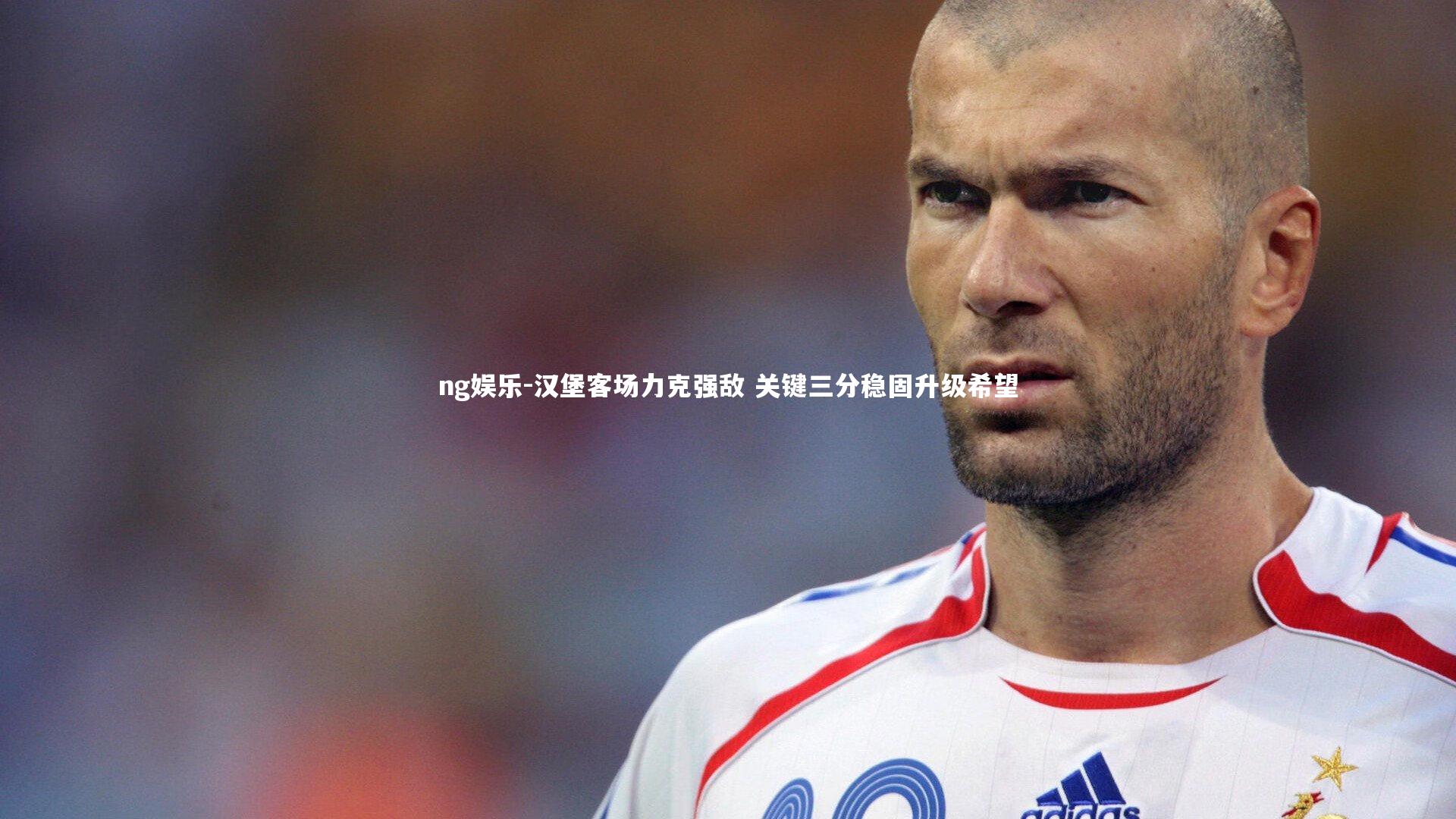 汉堡客场力克强敌 关键三分稳固升级希望